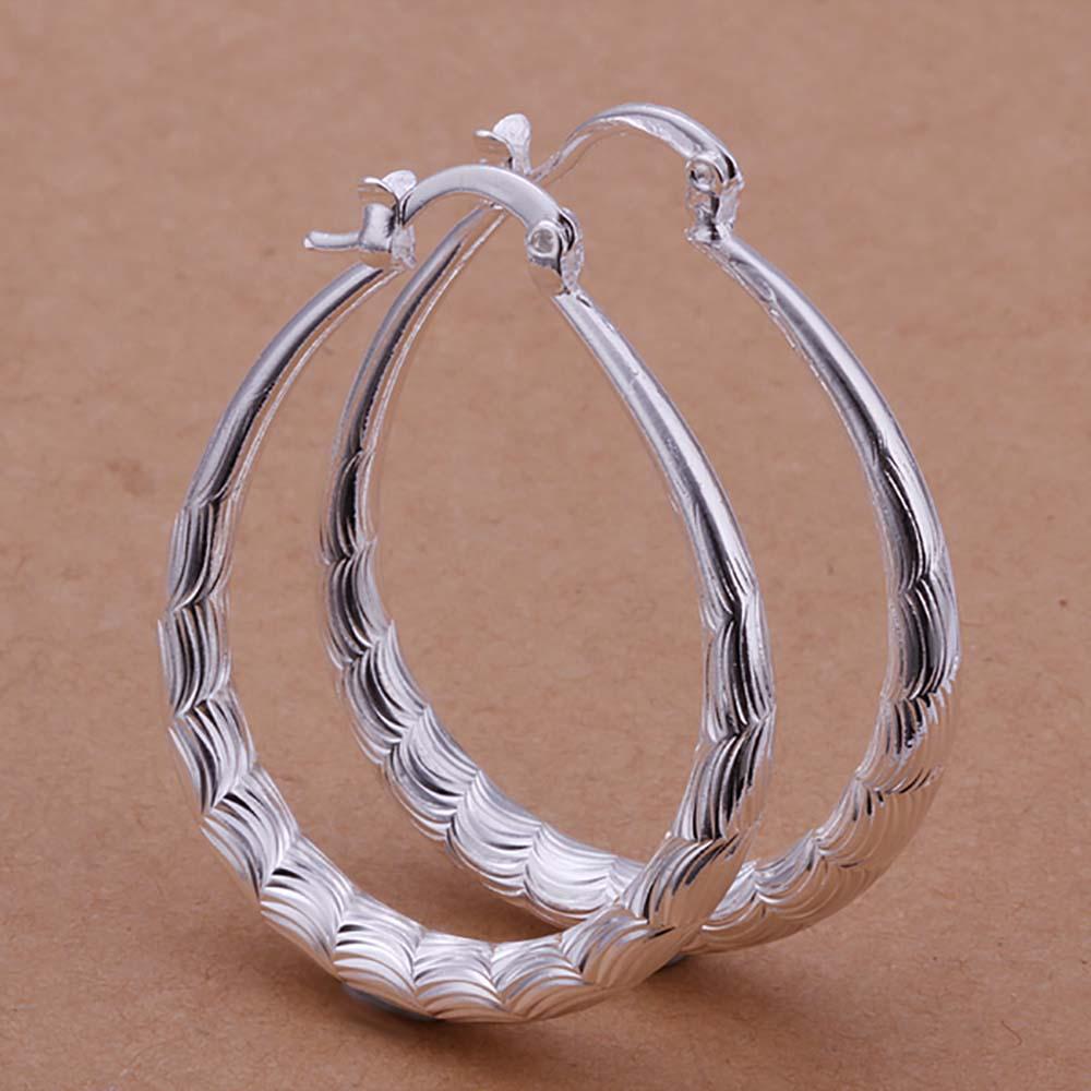 Elegant Hoop Earrings