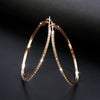 Amazing Rhinestone Hoop Earrings