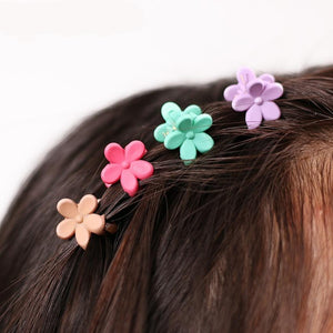 Small Flowers Plastic Hair Clip